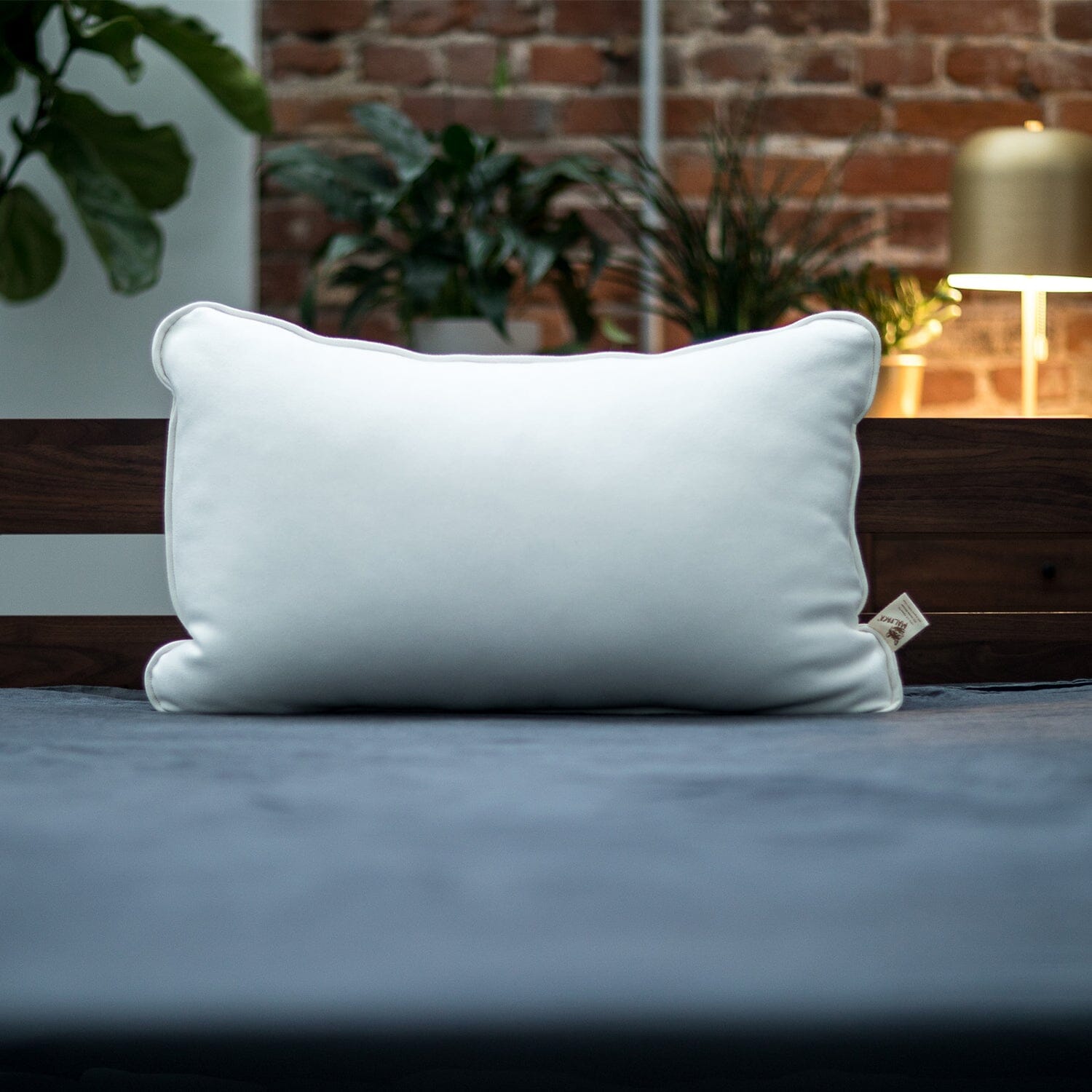 Natural Alpaca Bed Pillow – Hypoallergenic Luxury Sleep Pillow