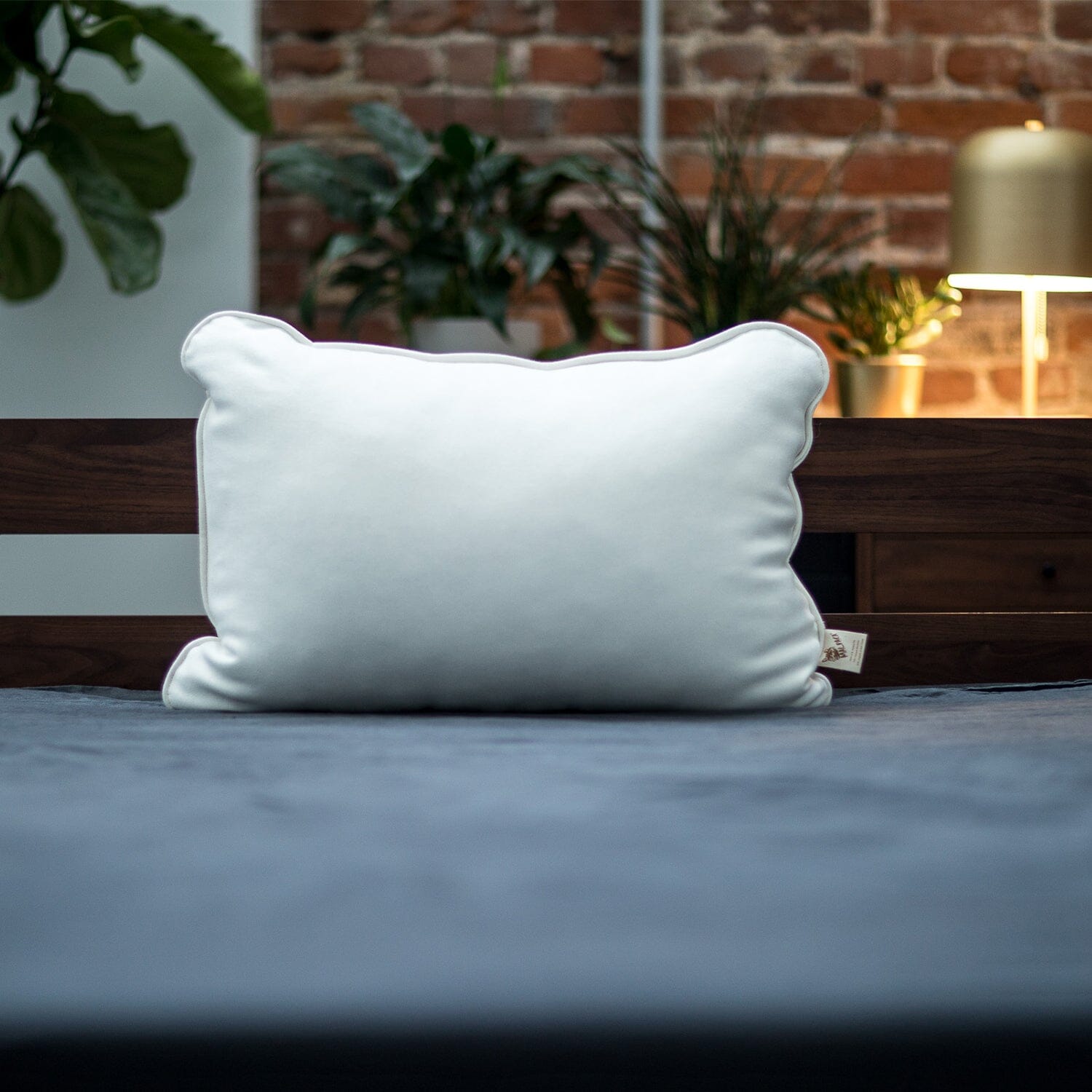 Natural Alpaca Bed Pillow – Hypoallergenic Luxury Sleep Pillow